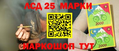 индика Будённовск