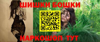 индика Будённовск