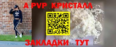 индика Будённовск