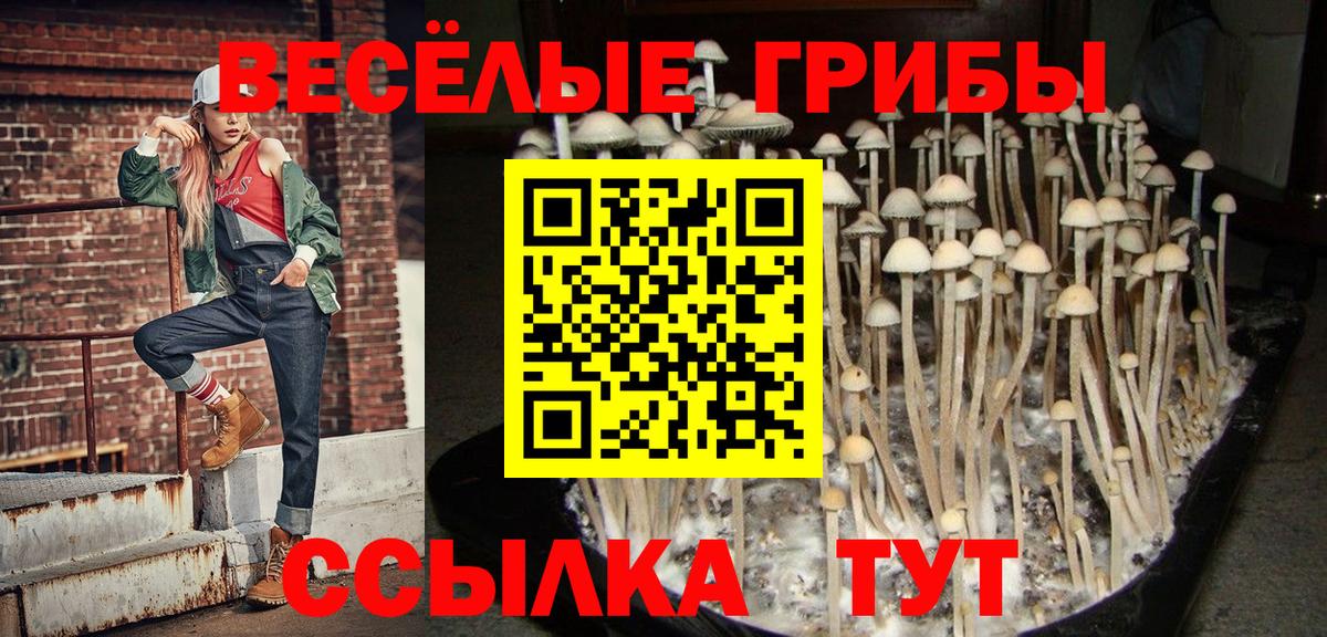Псилоцибиновые грибы GOLDEN TEACHER  Вход с VPN  Красноярск 
