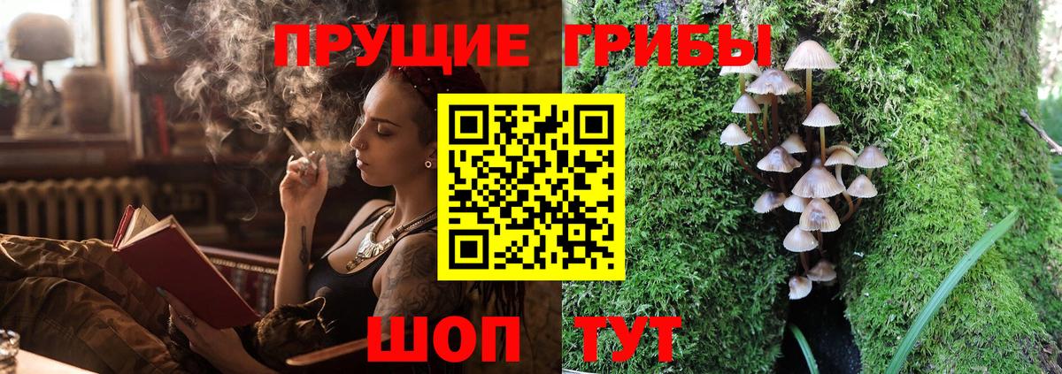 Галлюциногенные грибы Magic Shrooms Красноярск